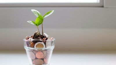 Inwestowanie dla początkujących – zielona roślina wyrastająca ze szklanki wypełnionej monetami, symbolizująca wzrost finansowy i długoterminowe oszczędzanie.